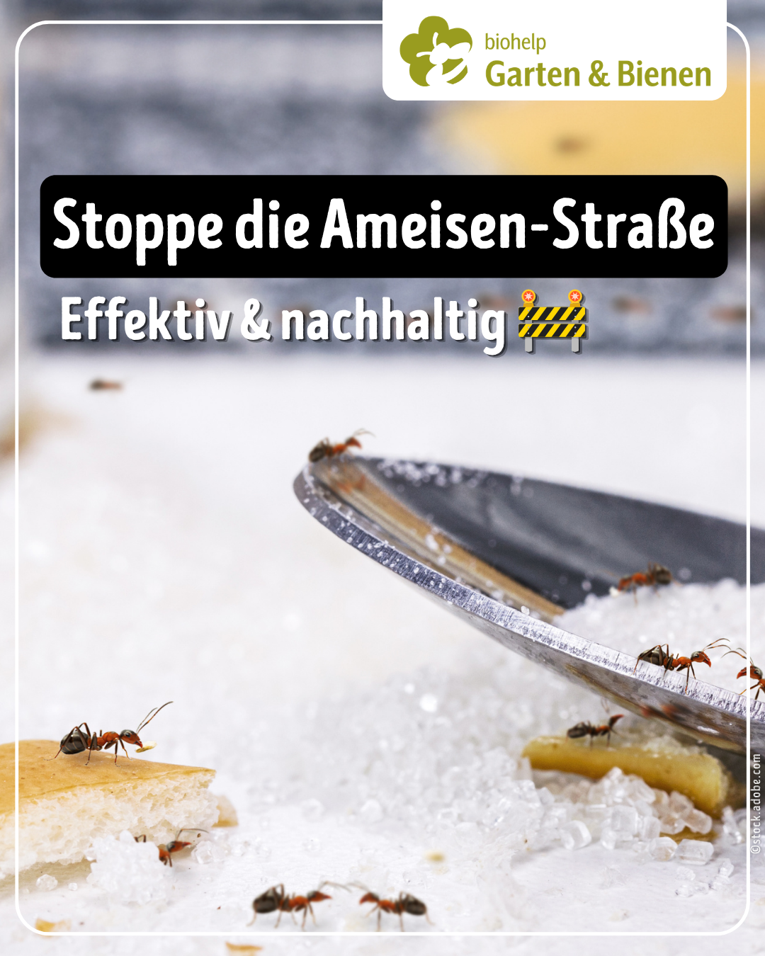 Instagram – biohelp Garten & Bienen