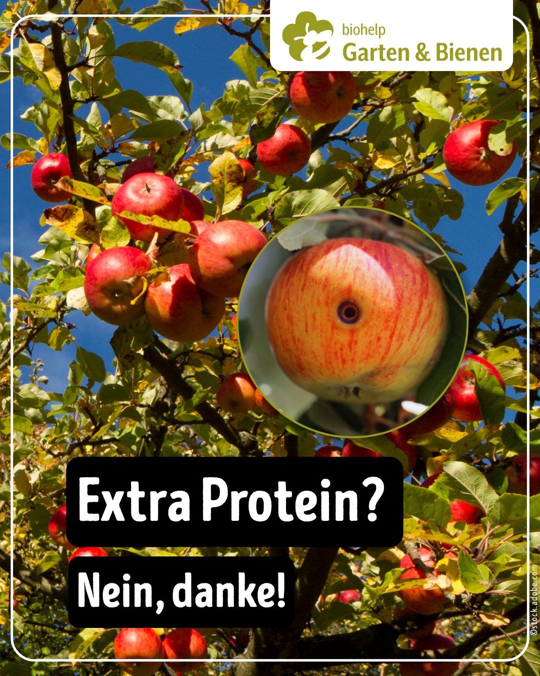 Instagram – biohelp Garten & Bienen