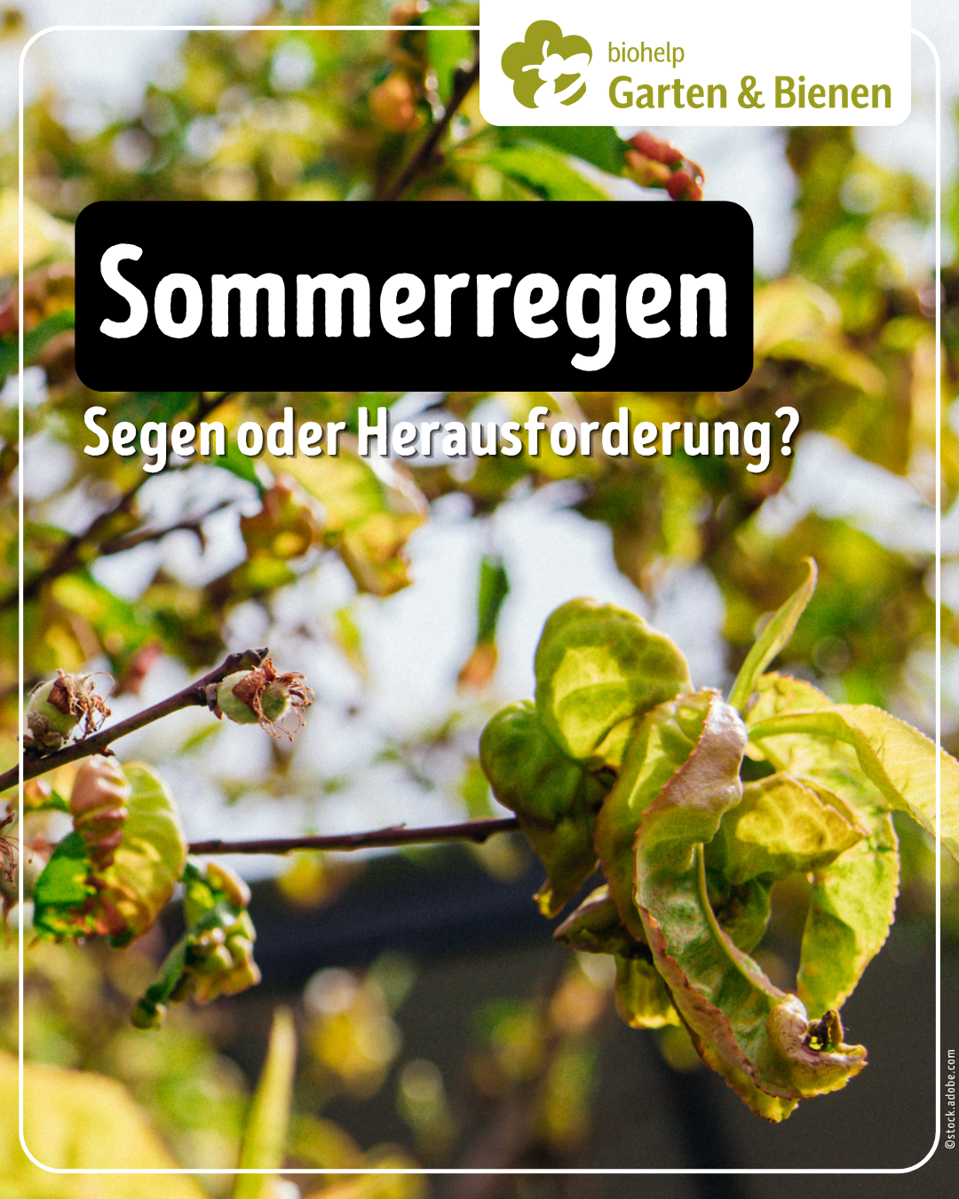 Instagram – biohelp Garten & Bienen