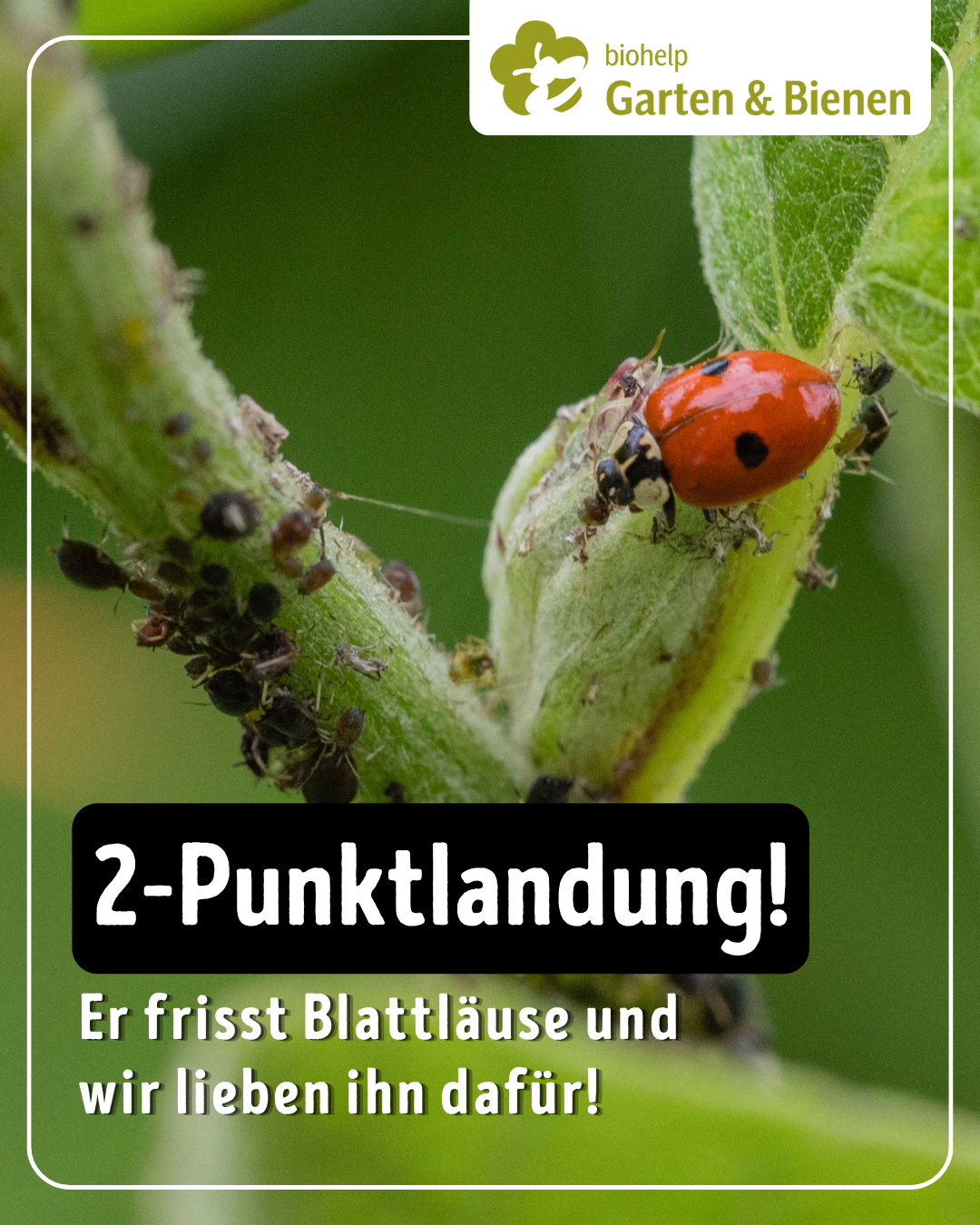 Instagram – biohelp Garten & Bienen
