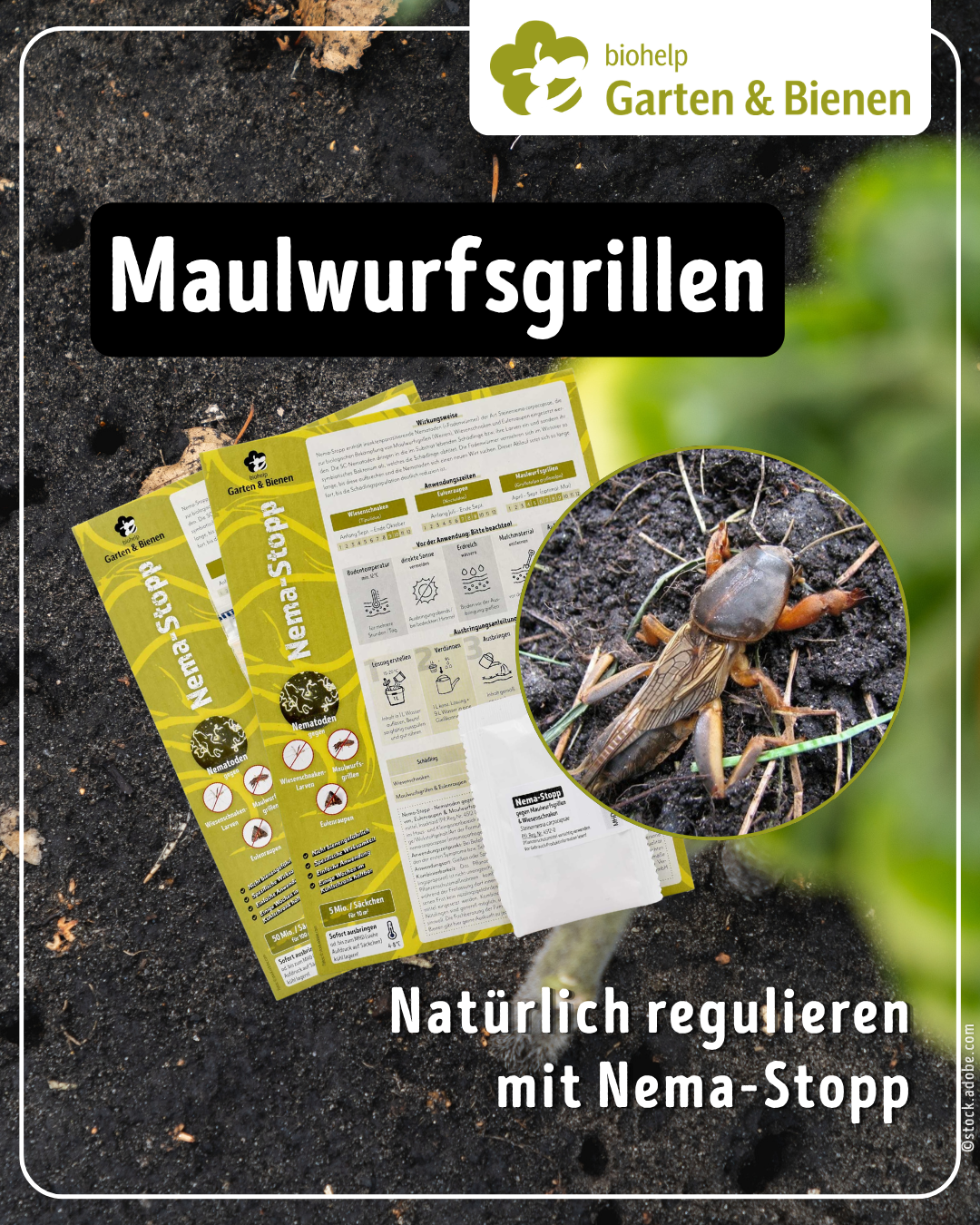 Instagram – biohelp Garten & Bienen