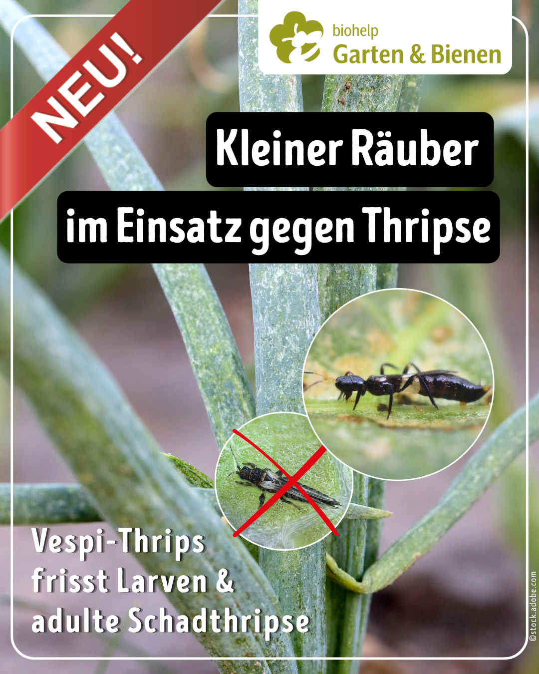 Instagram – biohelp Garten & Bienen