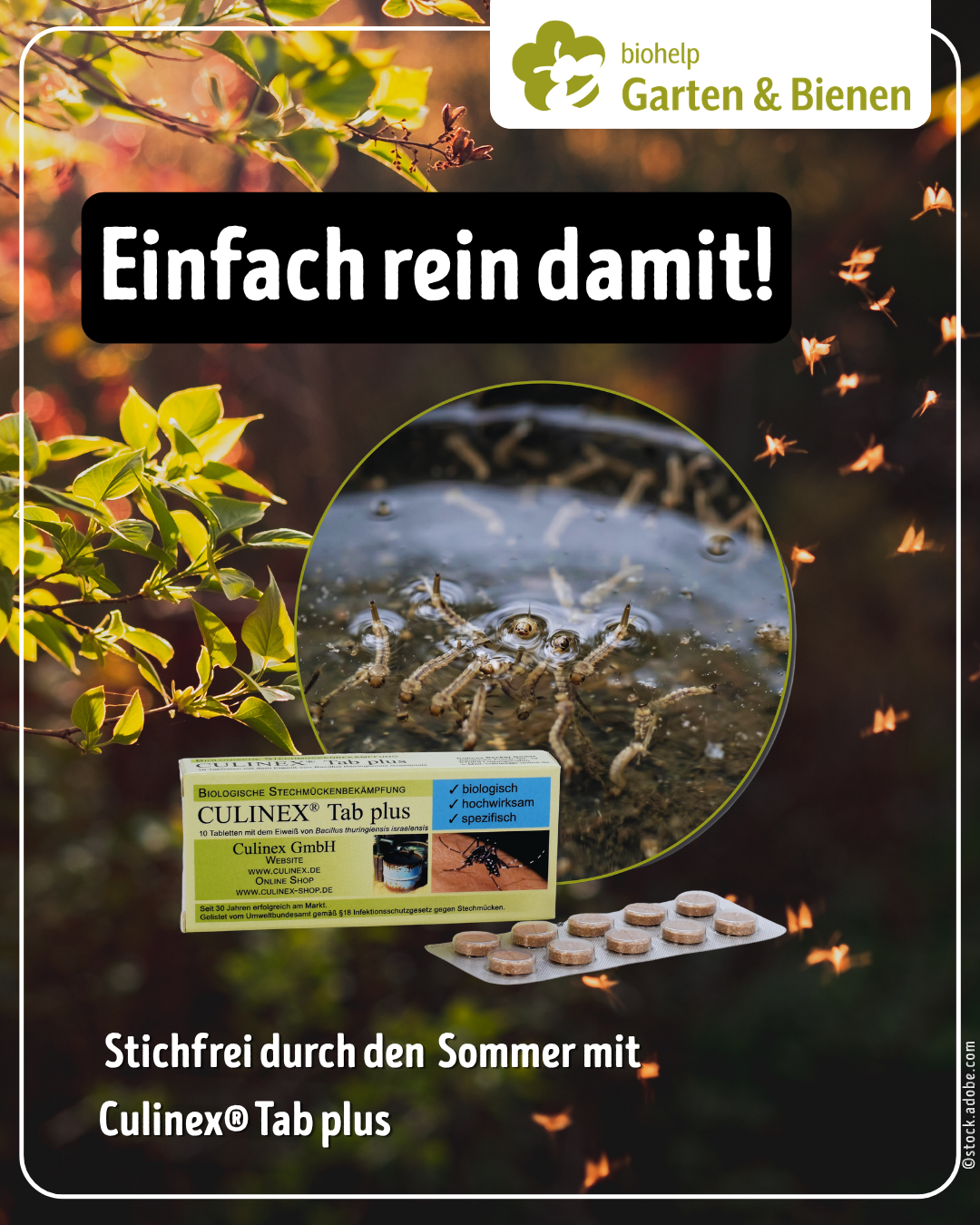 Instagram – biohelp Garten & Bienen