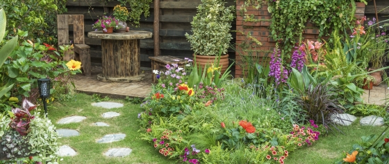 Den Garten klimafit gestalten