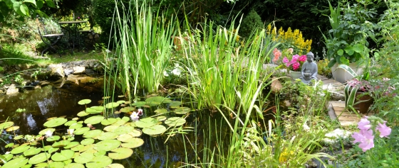 Wasser im Garten und Balkon – eine Jahresübersicht