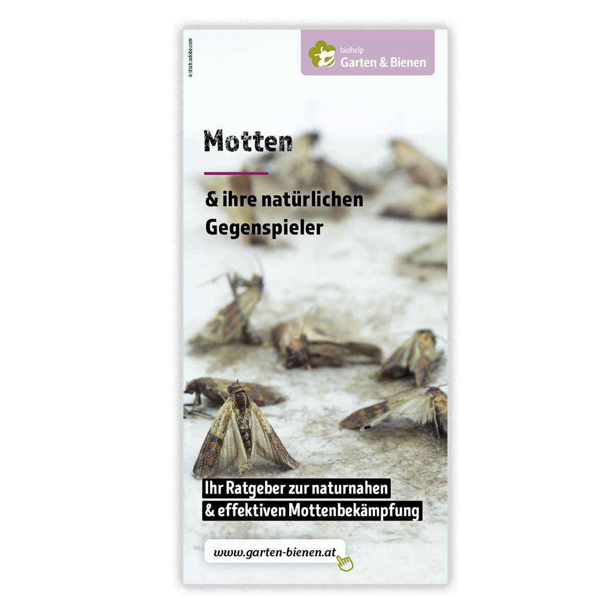 Motten Faltblatt