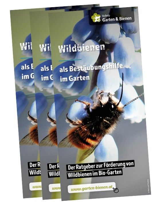 Wildbienen Faltblatt