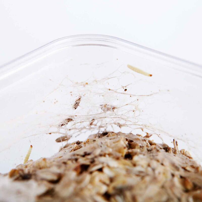 © AdobeStock_by_AlexOakenman