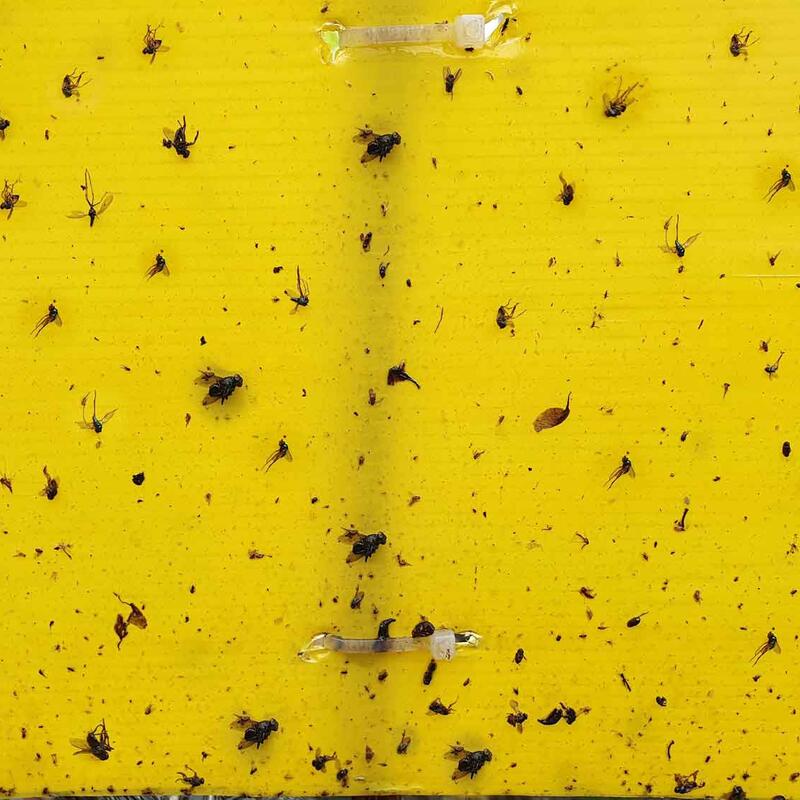 © AdobeStock_by_Vanchuree