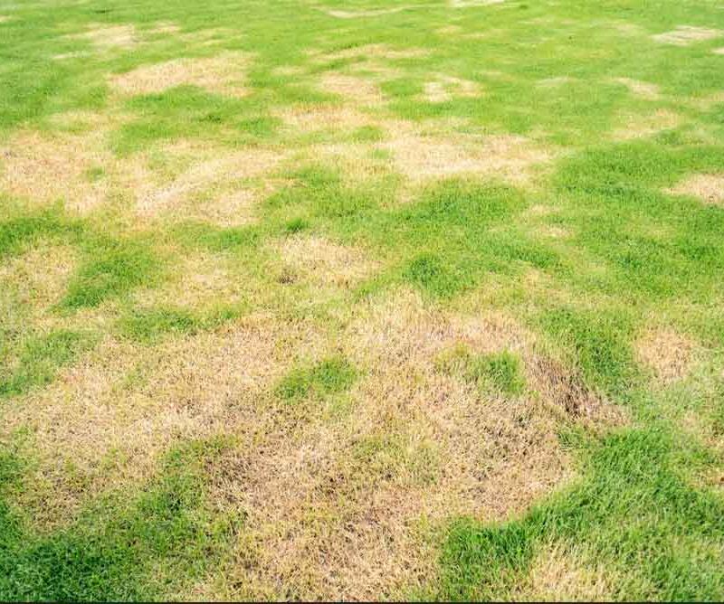 © adobeiStock_by_Singjai20