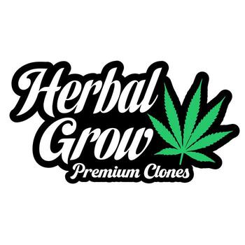 Herbal Grow