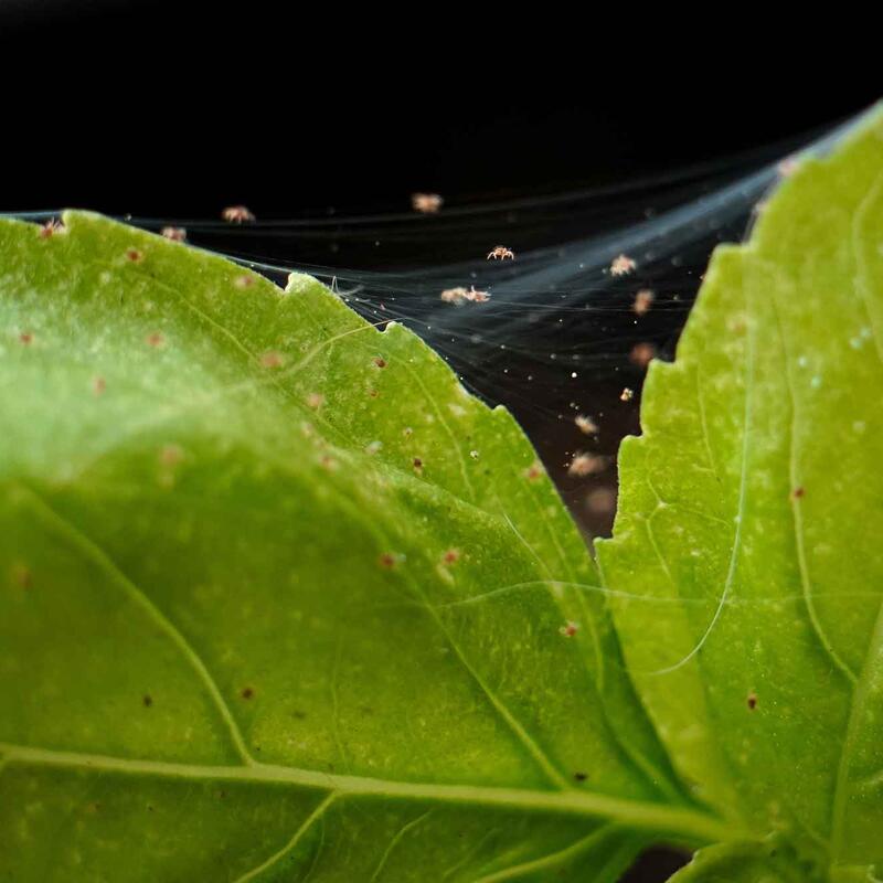 ©AdobeStock_by_Christine_Grindle