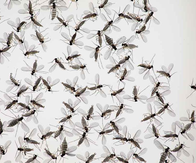 ©AdobeStock_by_JpegPhotographer