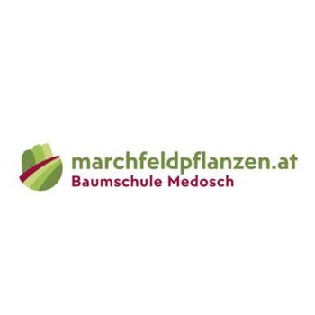 Marchfeldpflanzen Baumschule Medosch