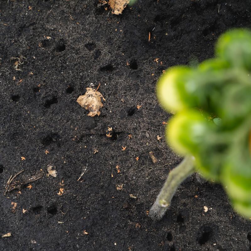 ©AdobeStock_by_Dmitrii