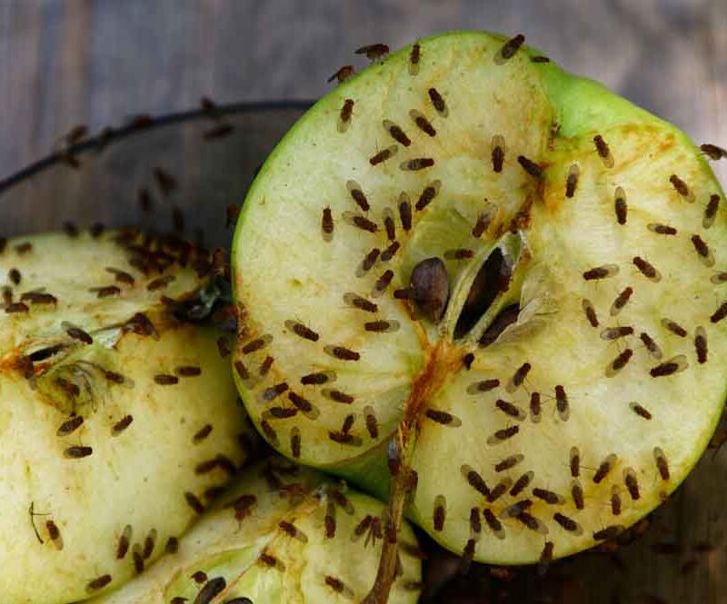 © AdobeStock_by_Anne