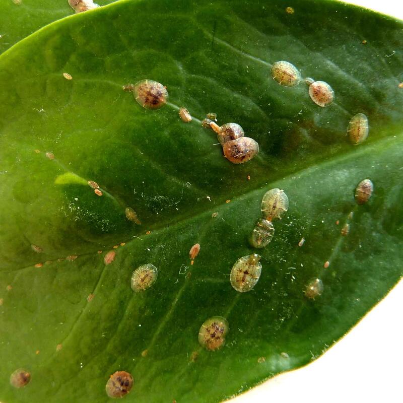 ©AdobeStock_by_regenbogenfloh