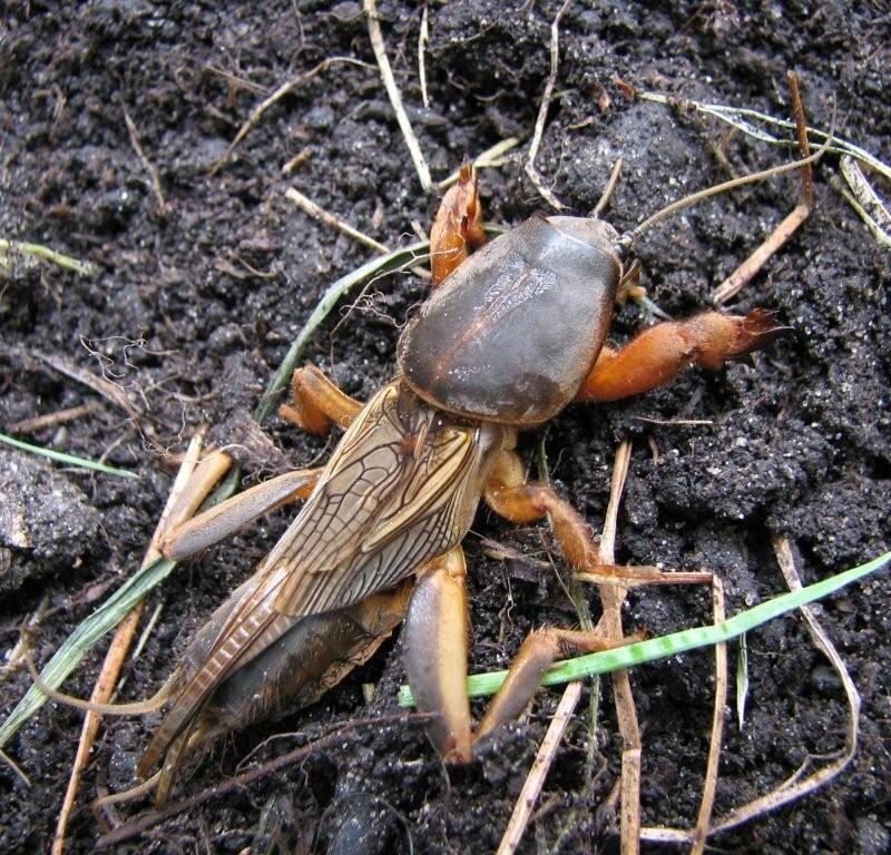 ©E-Nema_Silvia_Hellingman