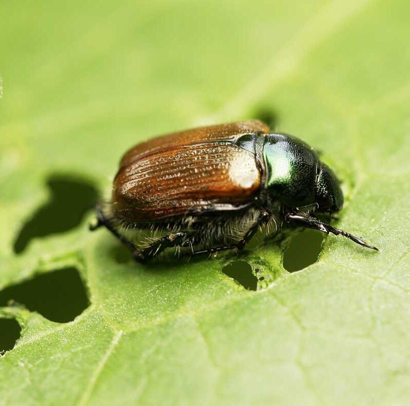 © iStock_by_Eileen Kumpf